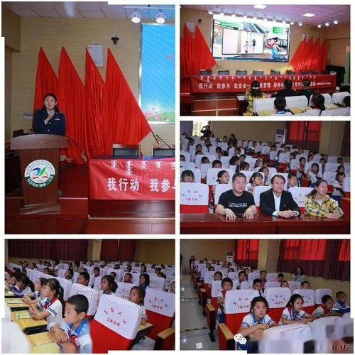 三級學生網絡安全知識資料