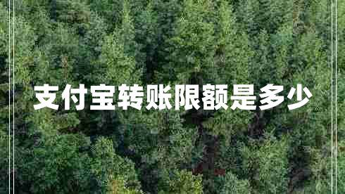 支付寶轉(zhuǎn)賬限額是多少 支付寶轉(zhuǎn)賬限額是多少