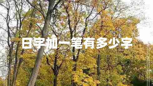 日字加一筆有多少字 日字加一筆有多少字