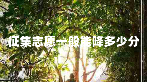 征集志愿一般能降多少分 征集志愿一般能降多少分