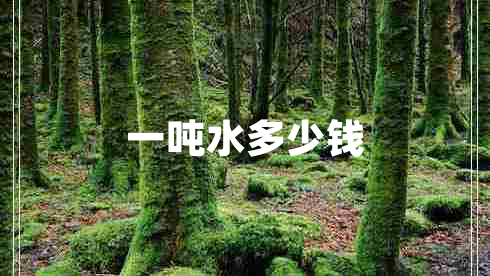 一噸水多少錢