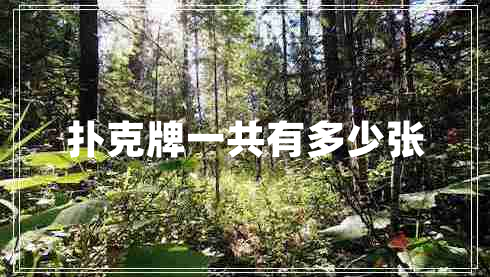 撲克牌一共有多少張