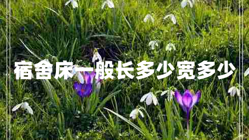 宿舍床一般長多少寬多少 宿舍床一般長多少寬多少