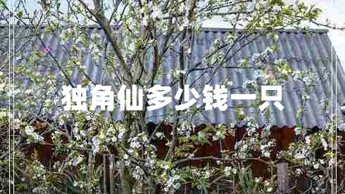 獨(dú)角仙多少錢一只 獨(dú)角仙多少錢一只