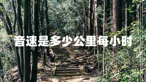 音速是多少公里每小時(shí) 音速是多少公里每小時(shí)