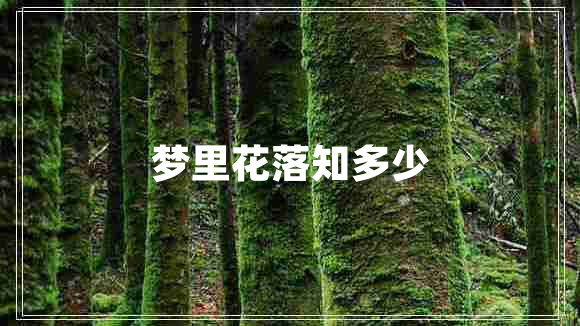 夢(mèng)里花落知多少