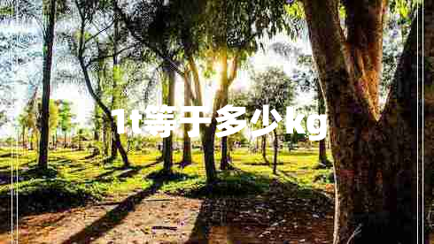 1t等于多少kg