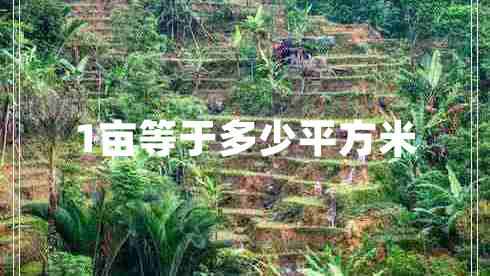 1畝等于多少平方米