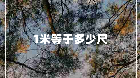 1米等于多少尺 1米等于多少尺