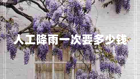 人工降雨一次要多少錢