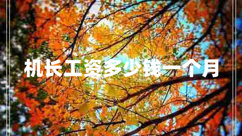 機長工資多少錢一個月 機長工資多少錢一個月