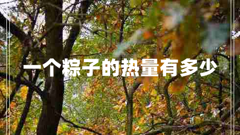 一個(gè)粽子的熱量有多少 一個(gè)粽子的熱量有多少