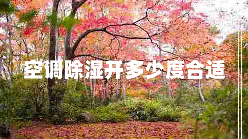 空調(diào)除濕開多少度合適