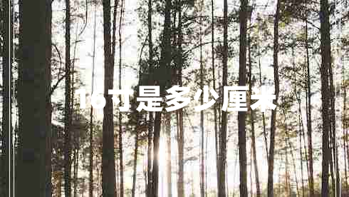 16寸是多少厘米