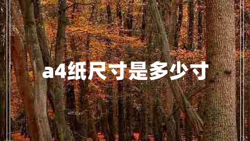 a4紙尺寸是多少寸 a4紙尺寸是多少寸