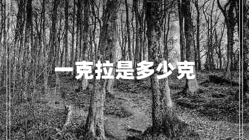 一克拉是多少克 一克拉是多少克