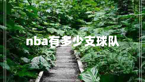 nba有多少支球隊