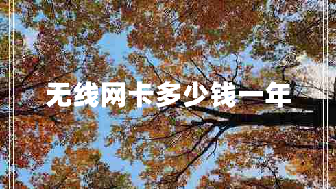 無線網(wǎng)卡多少錢一年 無線網(wǎng)卡多少錢一年