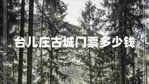 臺兒莊古城門票多少錢
