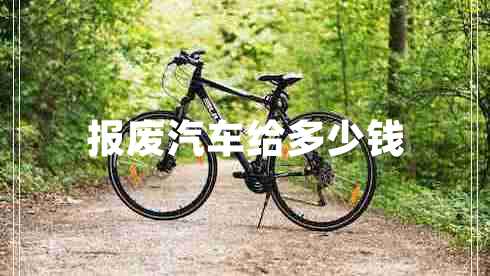報(bào)廢汽車給多少錢