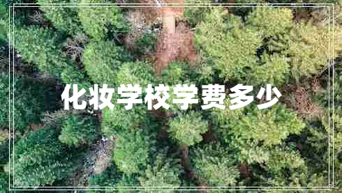 化妝學(xué)校學(xué)費(fèi)多少