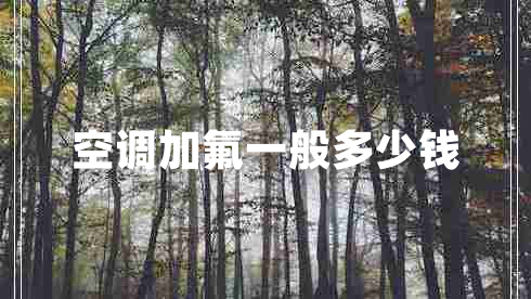 空調(diào)加氟一般多少錢 空調(diào)加氟一般多少錢