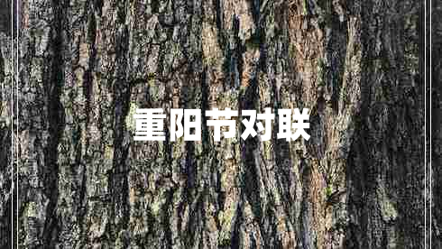 重陽節(jié)對聯(lián) 重陽節(jié)對聯(lián)