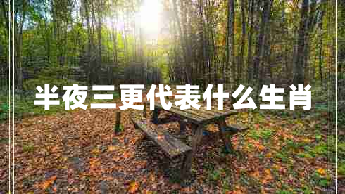 半夜三更代表什么生肖 半夜三更代表什么生肖