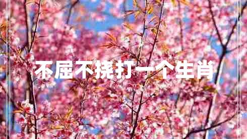 不屈不撓打一個生肖