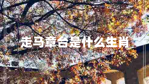 走馬章臺(tái)是什么生肖