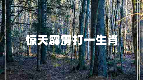 驚天霹靂打一生肖