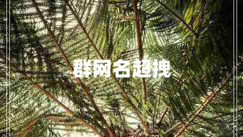 群網(wǎng)名超拽 群網(wǎng)名超拽
