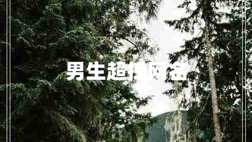 男生超拽網(wǎng)名