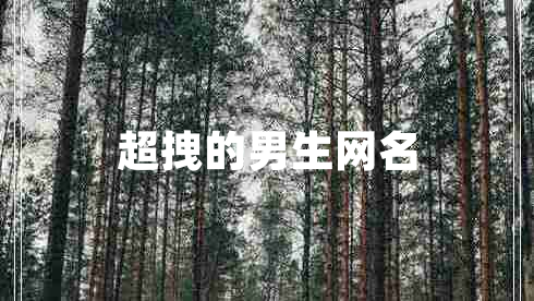超拽的男生網(wǎng)名
