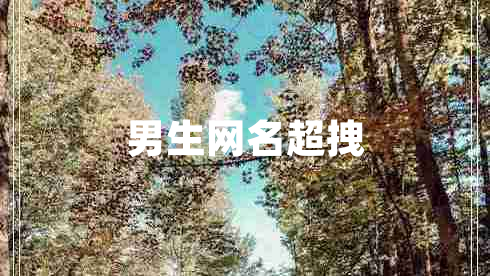 男生網(wǎng)名超拽