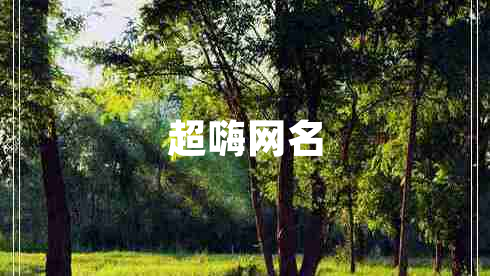 超嗨網(wǎng)名