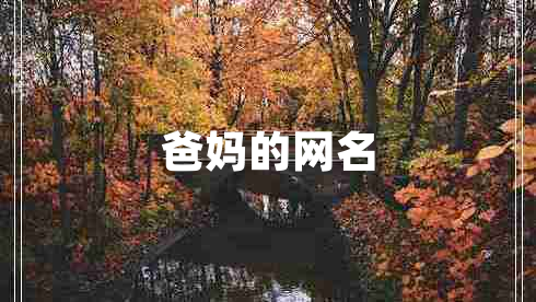 爸媽的網(wǎng)名