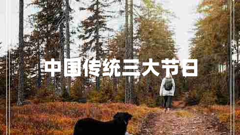中國傳統(tǒng)三大節(jié)日