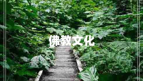 佛教文化 佛教文化