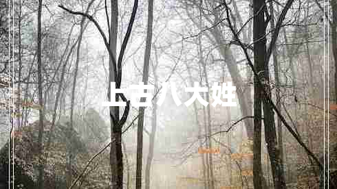 上古八大姓 上古八大姓