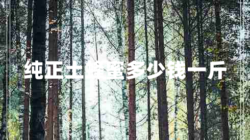 純正土蜂蜜多少錢一斤 純正土蜂蜜多少錢一斤