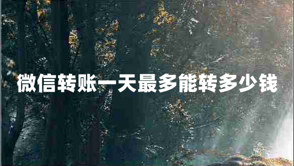 微信轉(zhuǎn)賬一天最多能轉(zhuǎn)多少錢(qián)