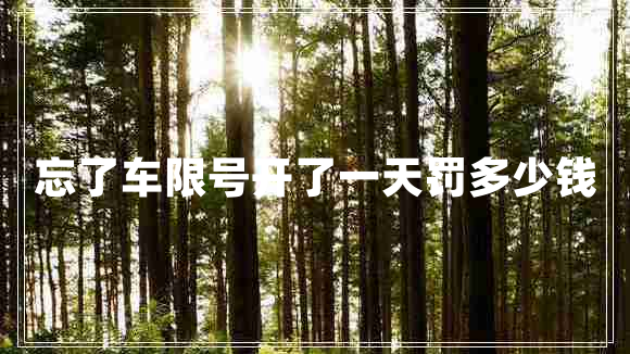忘了車限號開了一天罰多少錢