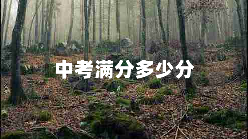 中考滿分多少分 中考滿分多少分