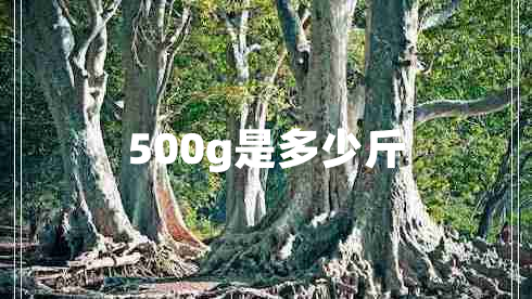 500g是多少斤
