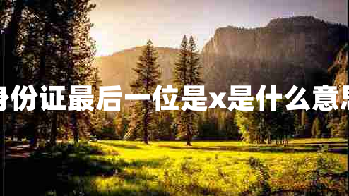 身份證最后一位是x是什么意思 身份證最后一位是x是什么意思