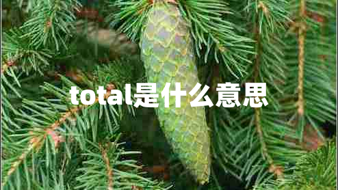 total是什么意思