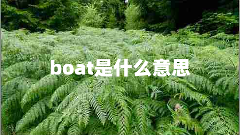boat是什么意思 boat是什么意思