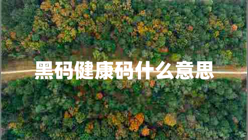 黑碼健康碼什么意思