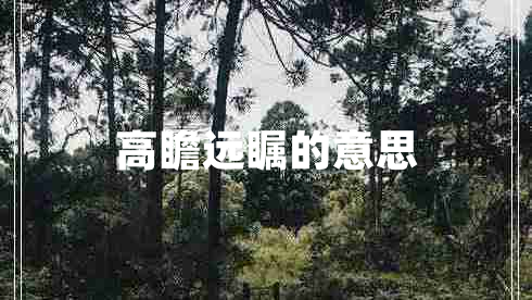高瞻遠(yuǎn)矚的意思